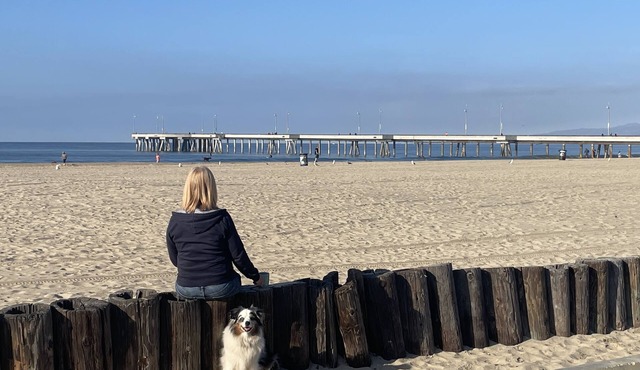 Venice Beach Pier 3 BR condo 100 steps to the sand. Pets Welcome