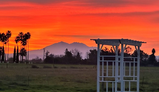 Wake Up to Nature: Your Peaceful Country Escape