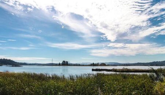 Waterfront 1BR stateroom with bay & ocean views, balcony, and full kitchen.