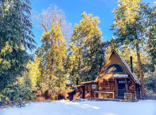 Wildland Zen Den Tiny House Retreat with Fireplace Grill AC Hammock Record Player Musical Instruments Pets OK