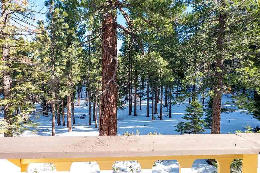 Photo of Others in Tahoe Tyrol