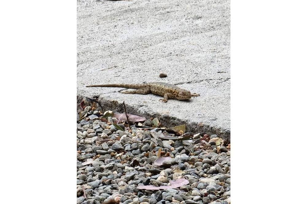 Photo of Others in Stevinson