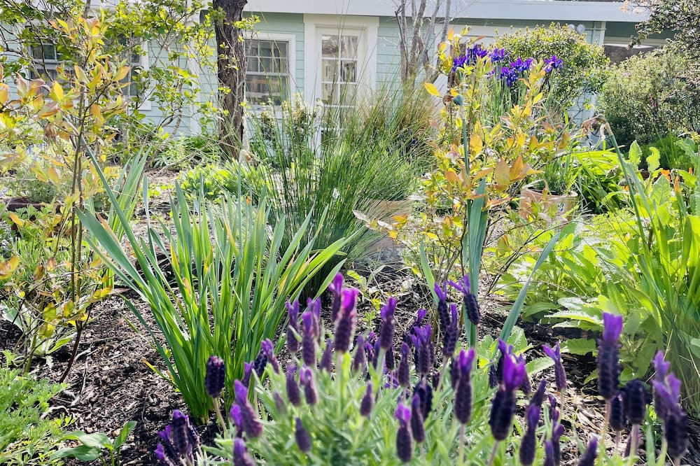 Photo of Outdoor in Point Reyes Station