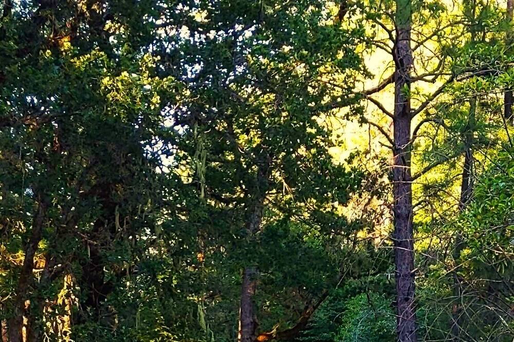 Photo of Outdoor in Cave Junction