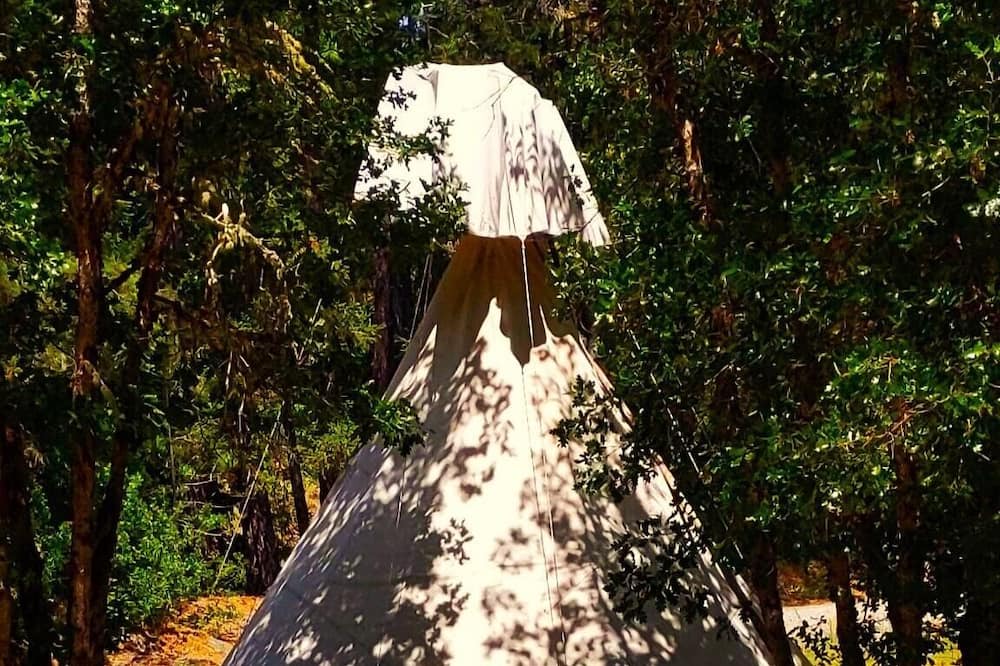 Photo of Outdoor in Cave Junction