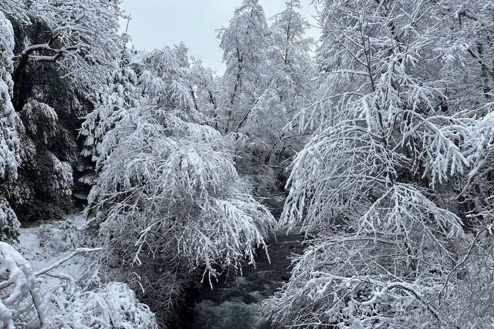 Photo of Outdoor in Crescent City