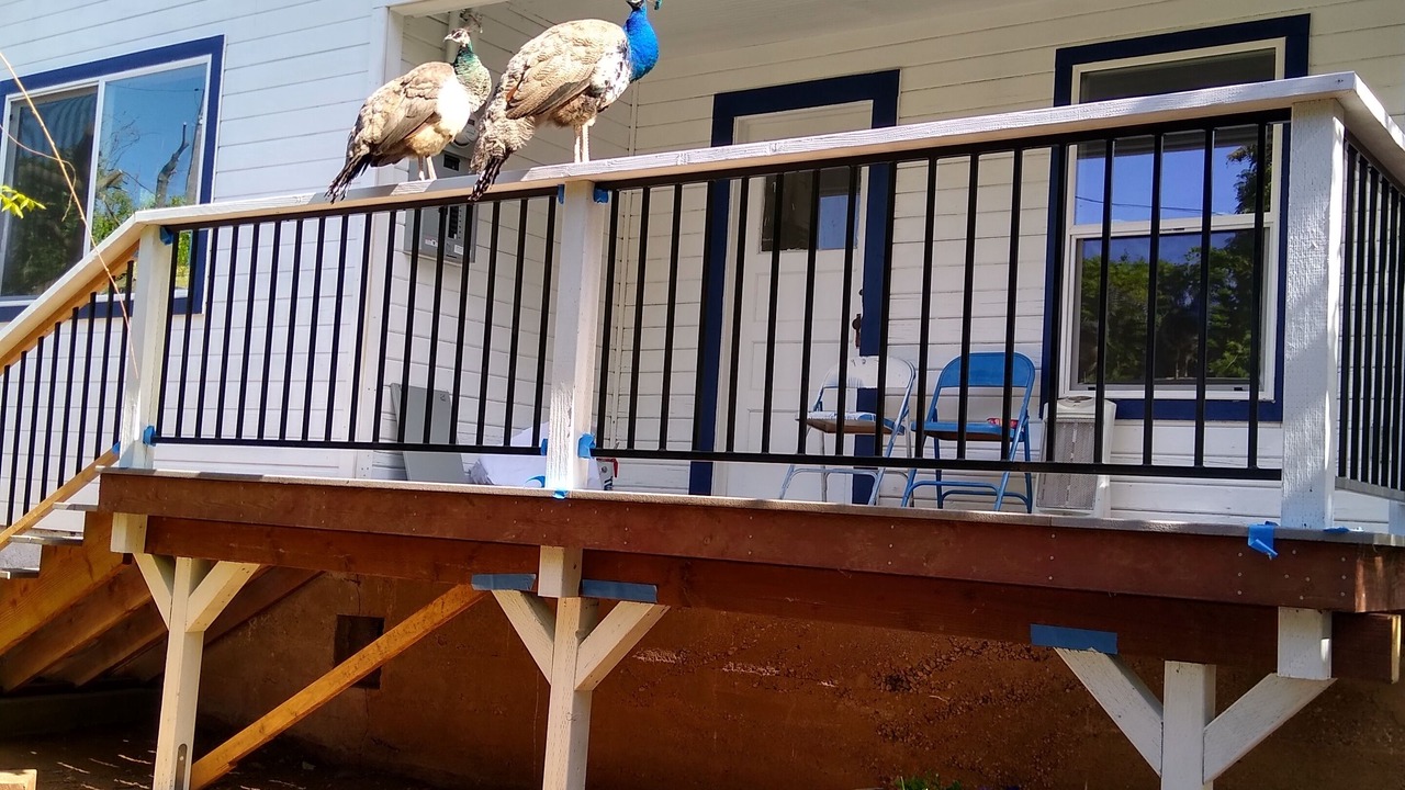 Photo of Outdoor in Auburn