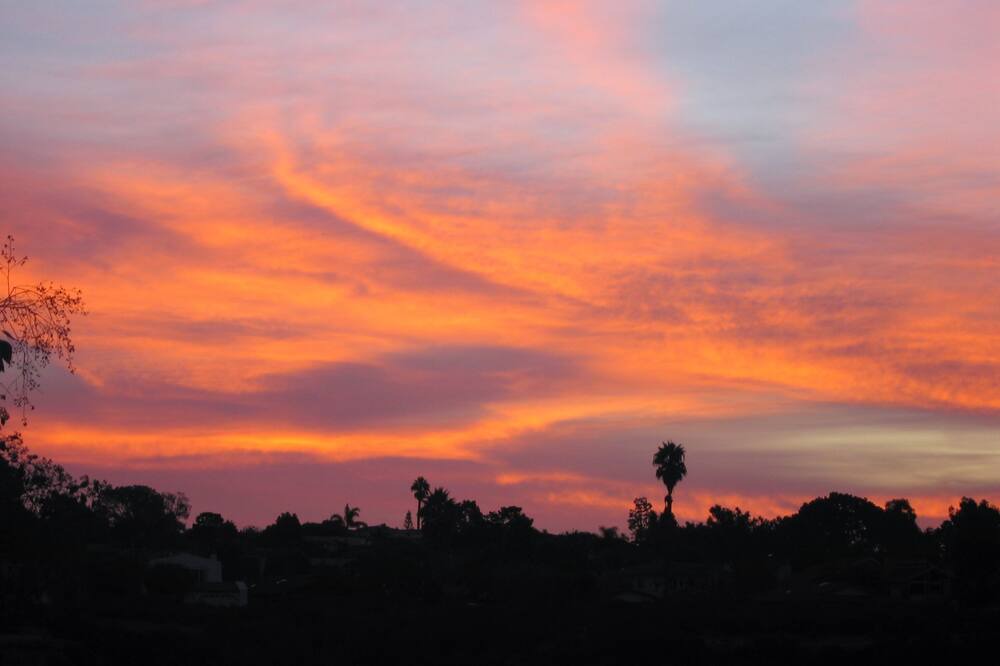 Photo of Others in Del Mar Heights
