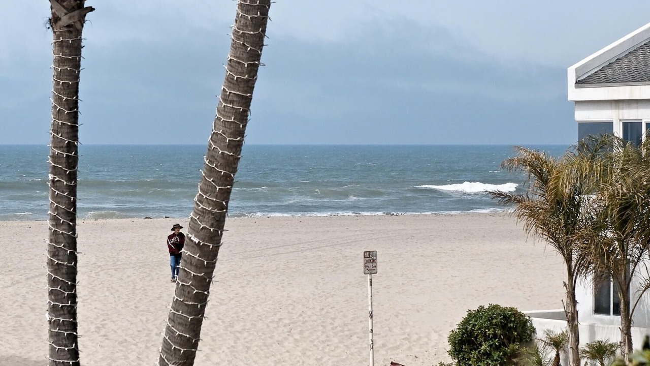 Photo of Others in Hollywood Beach