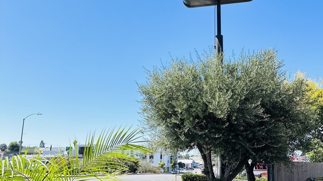 Photo of Outdoor in Lemon Grove