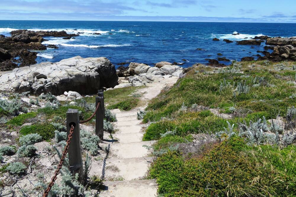 Photo of Others in Pacific Grove
