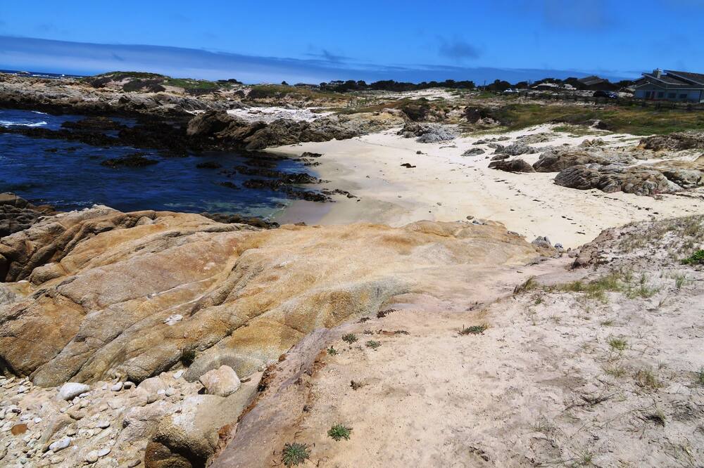 Photo of Others in Pacific Grove