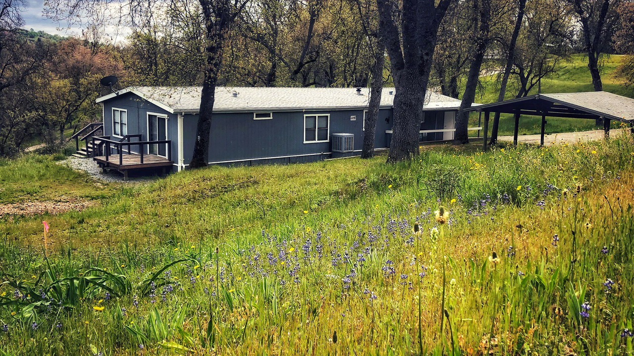 Photo of Outdoor in Badger