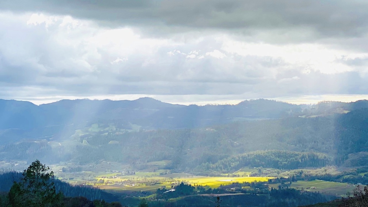 Photo of Others in Angwin