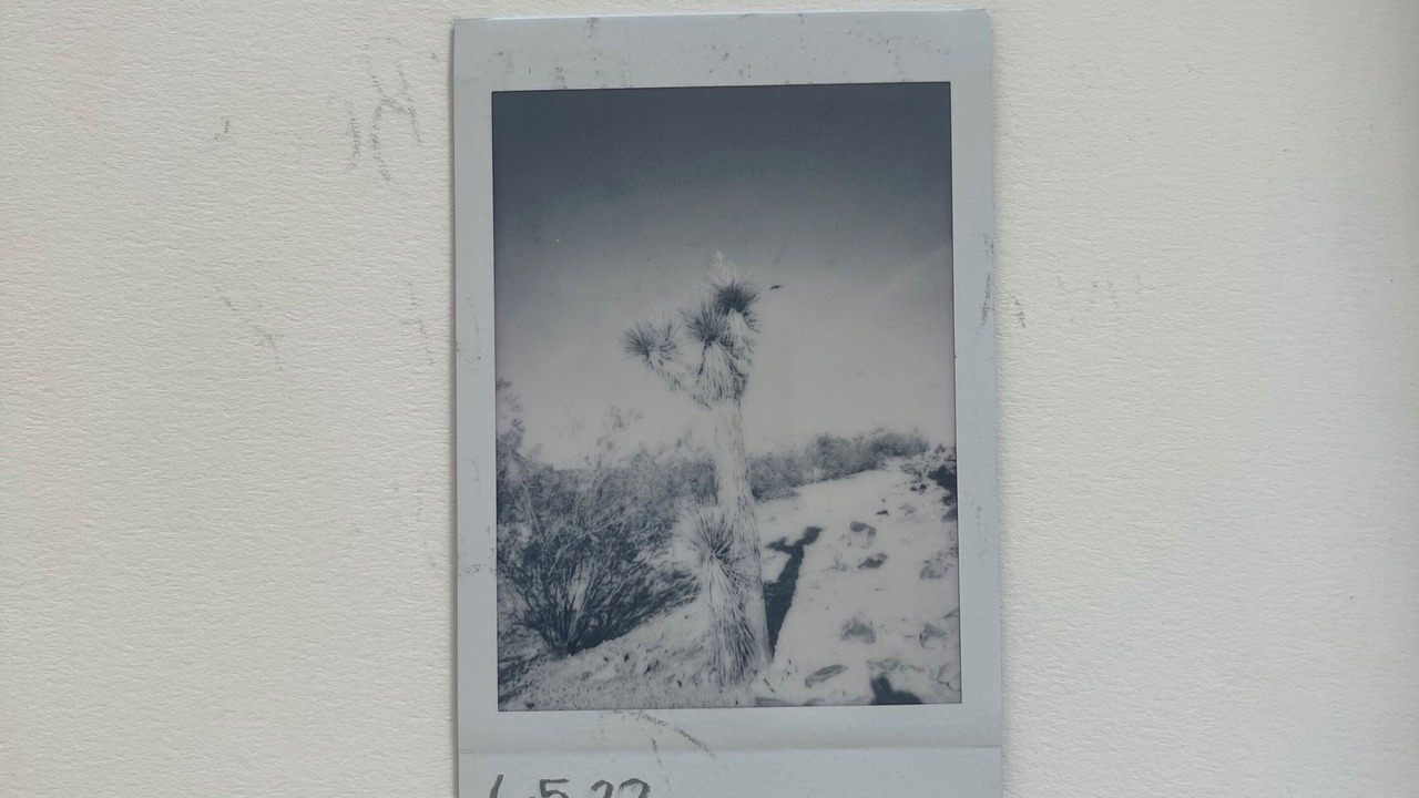 Photo of Others in Joshua Tree