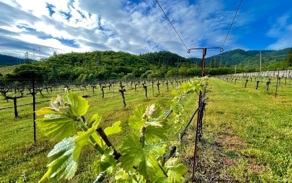 Photo of Outdoor in Grants Pass