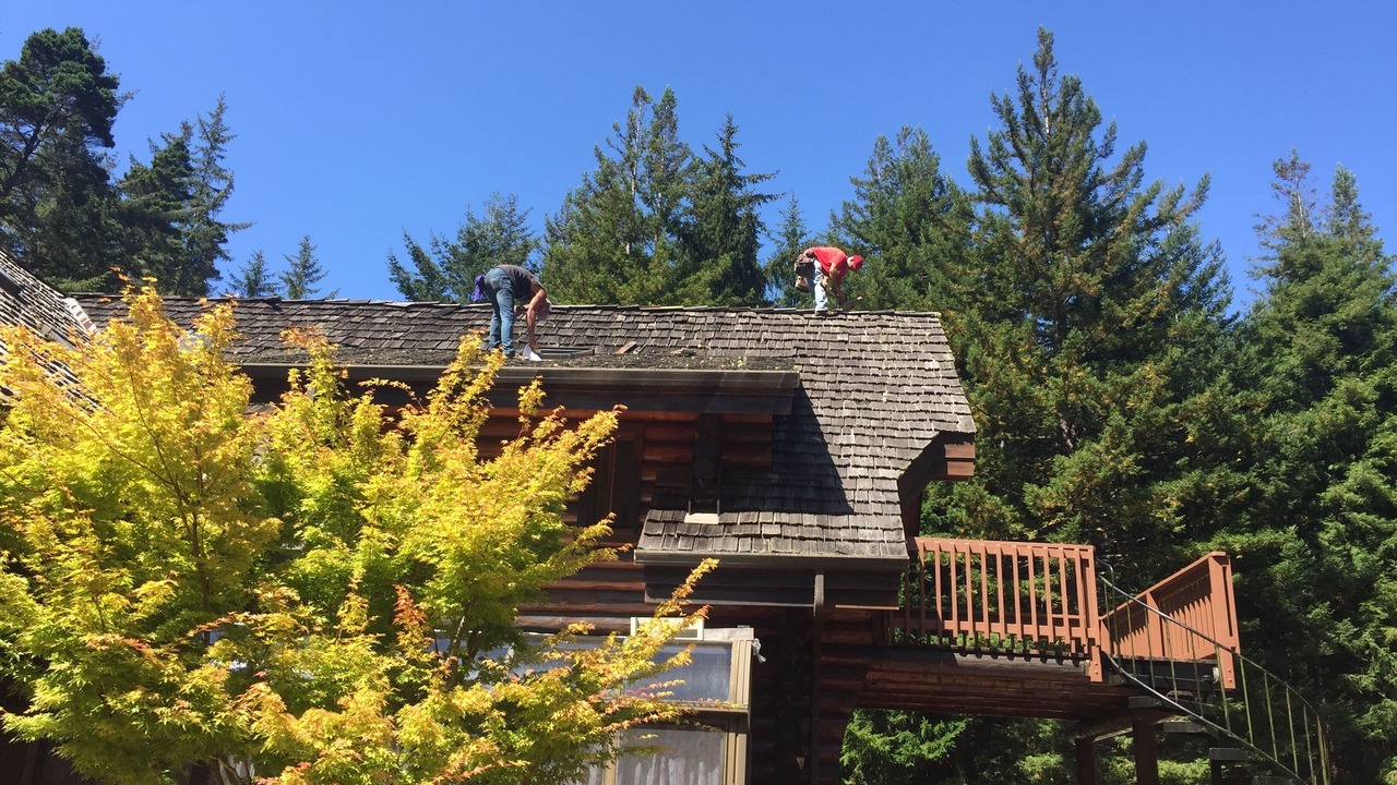 Photo of Outdoor in Crescent City