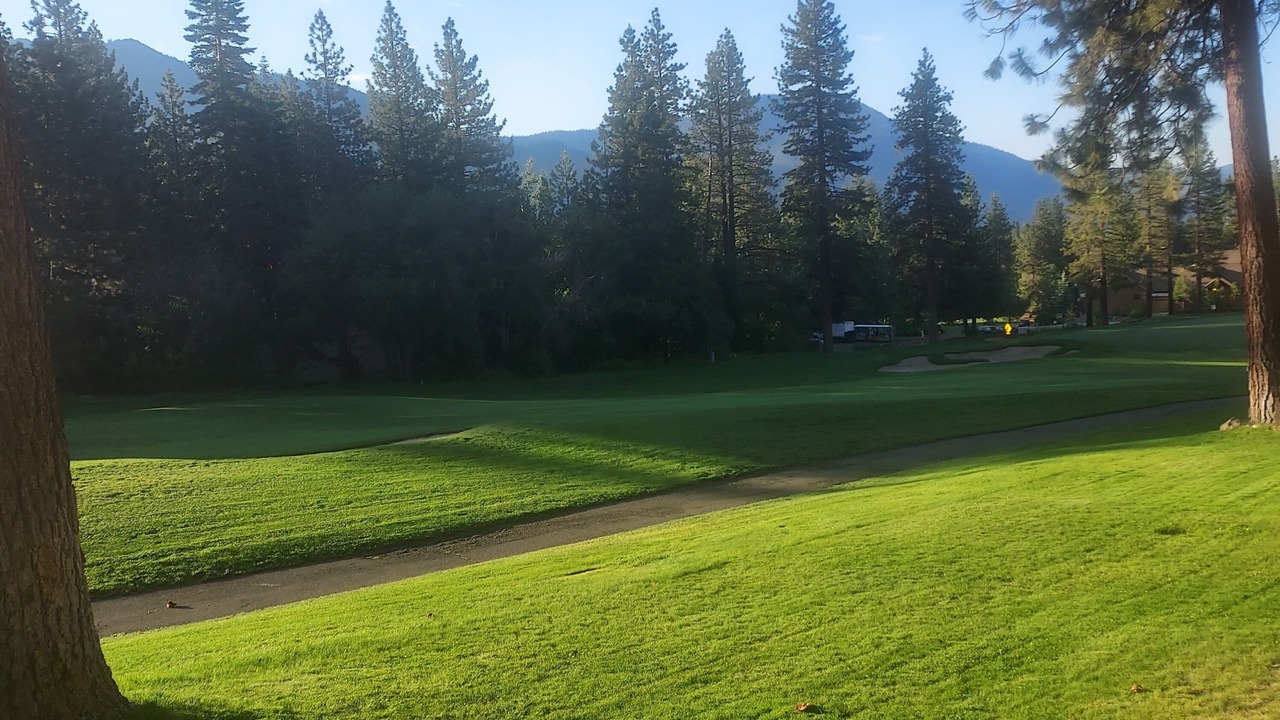 Photo of Others in Incline Village