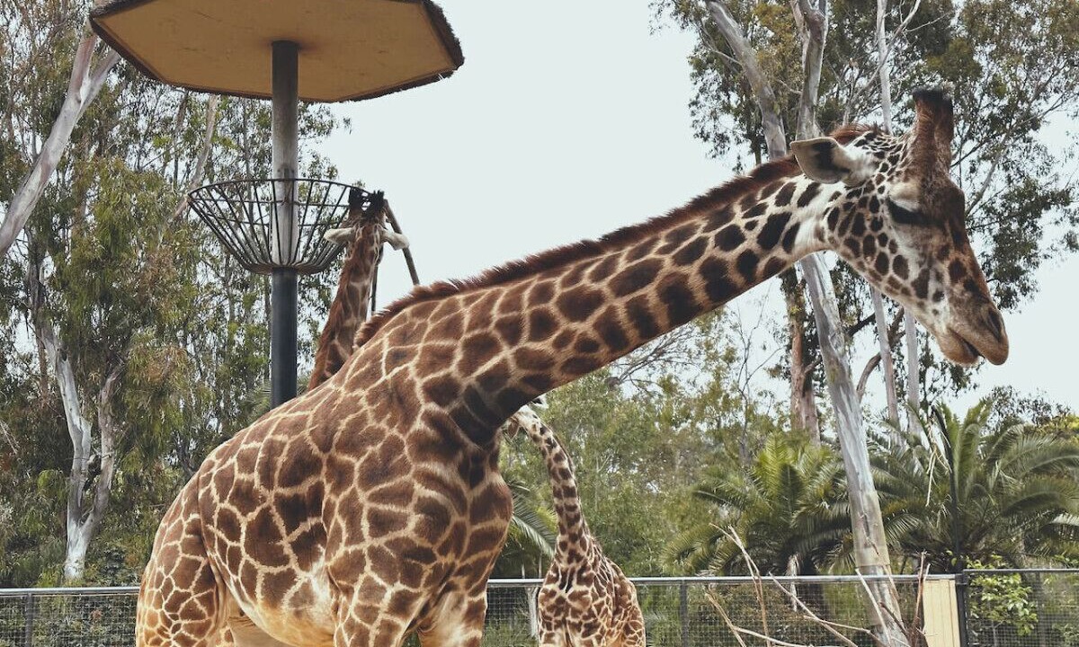 Photo of Others in Del Cerro