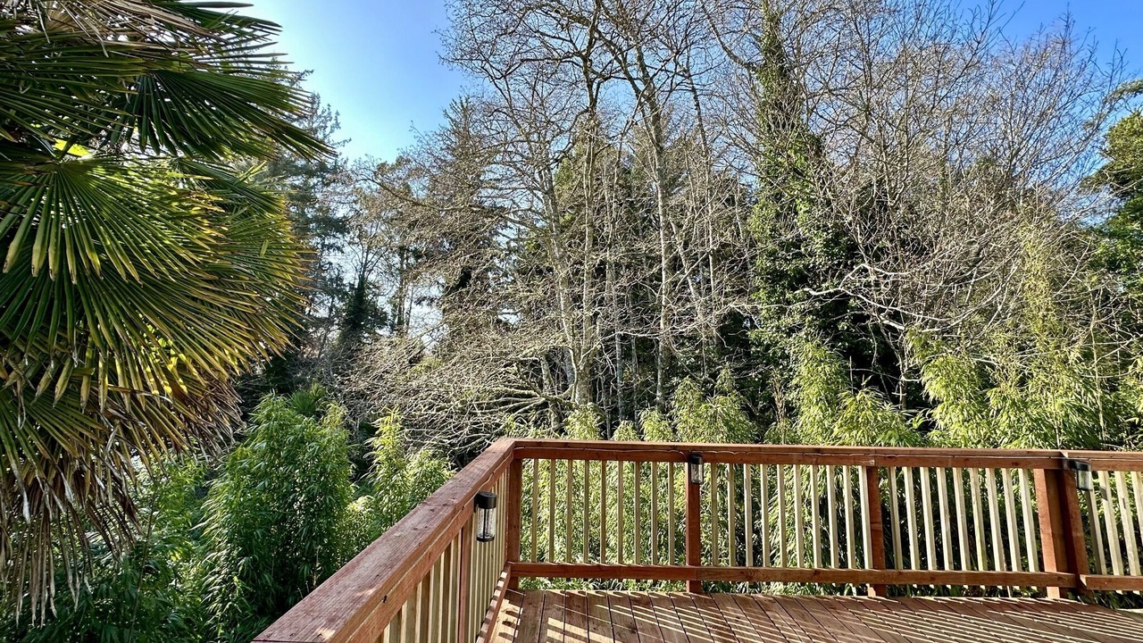 Photo of Outdoor in Crescent City