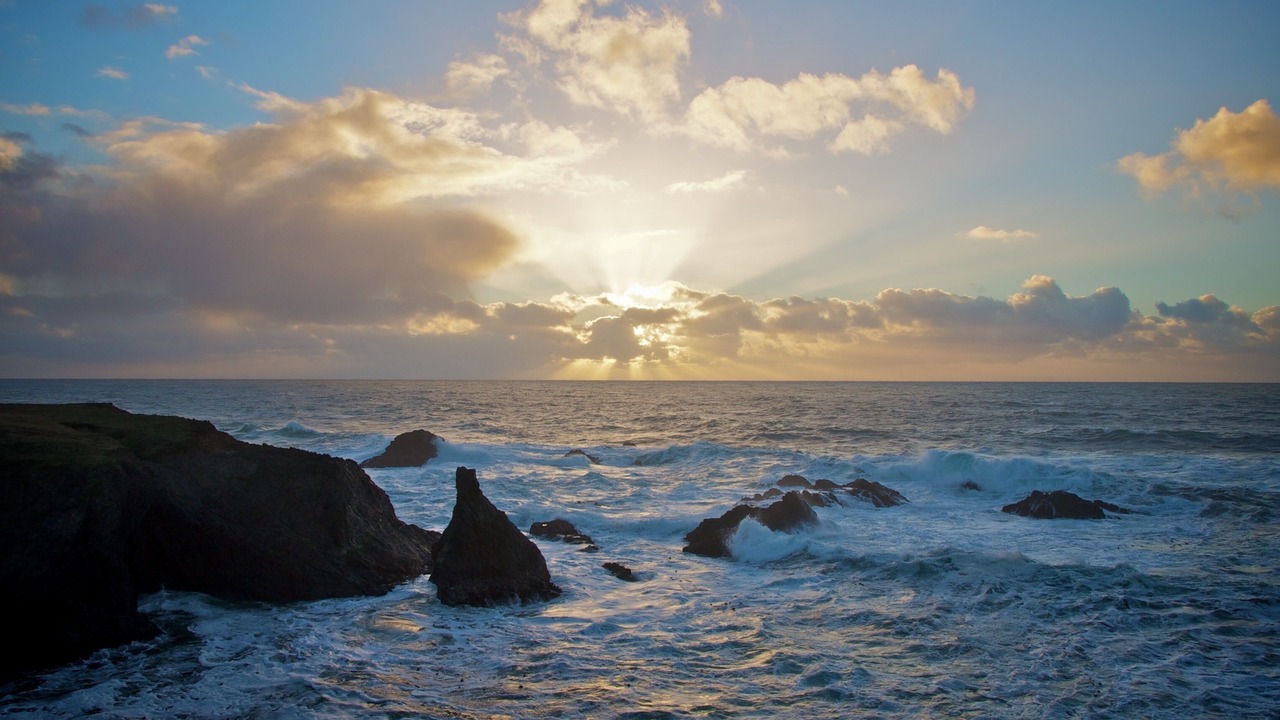 Photo of Others in Mendocino