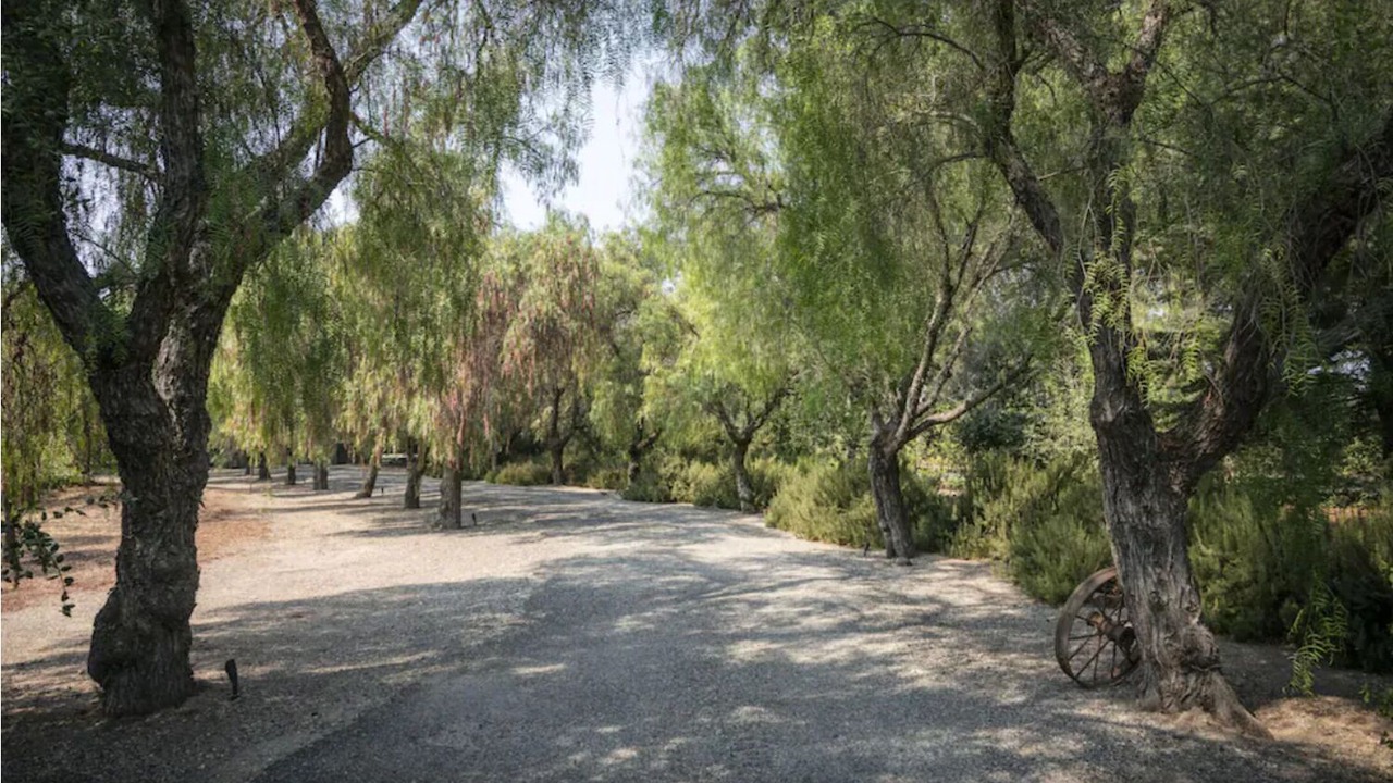 Photo of Others in Santa Ynez