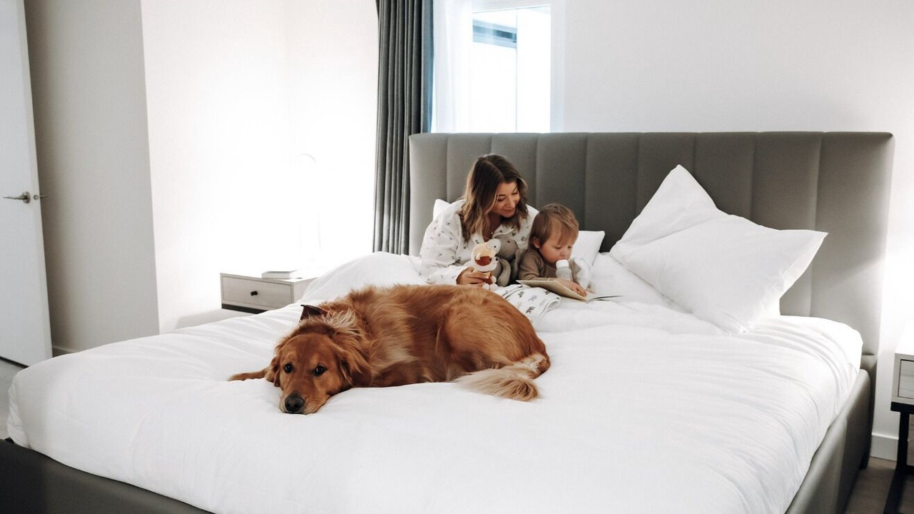 Photo of Bedroom in Downtown Los Angeles