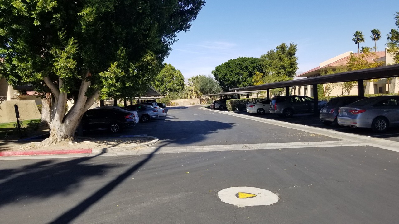 Photo of Others in Palm Springs