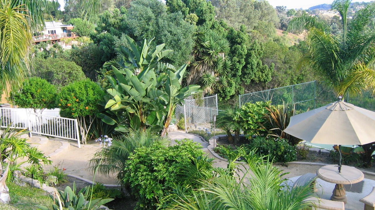 Photo of Others in Mira Costa