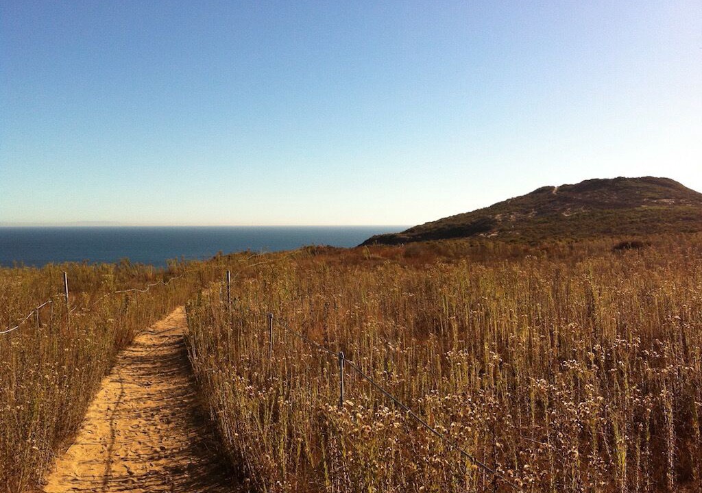 Photo of Outdoor in Central Malibu