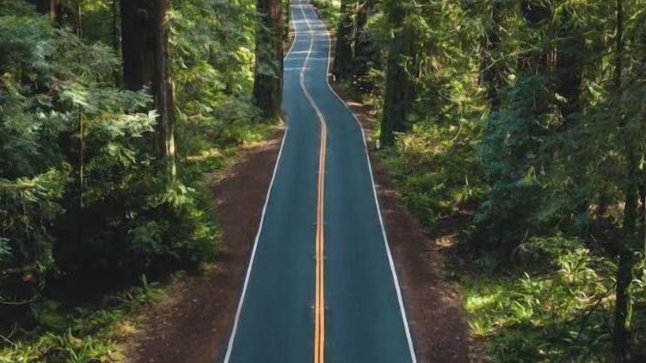 Photo of Outdoor in Rio Dell
