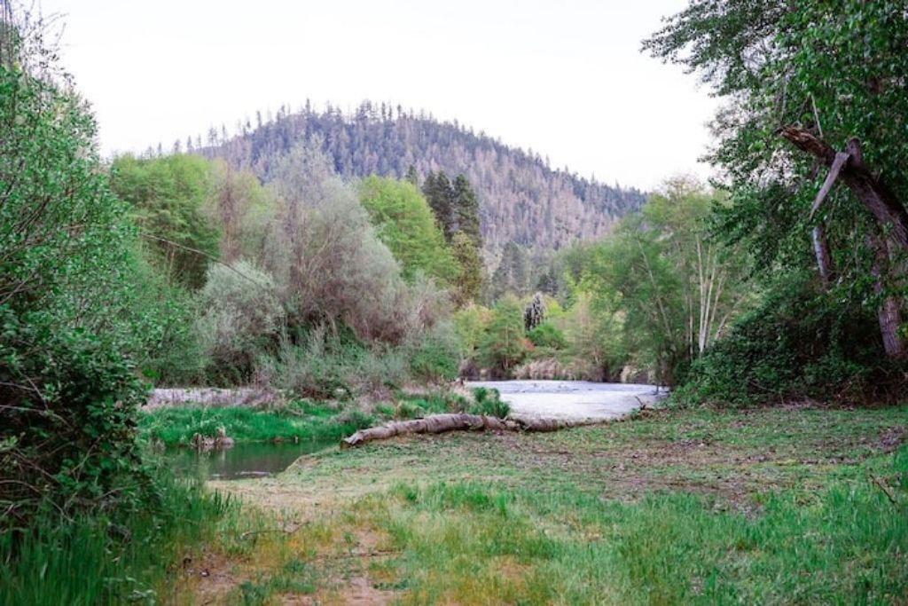 Photo of Outdoor in Murphy