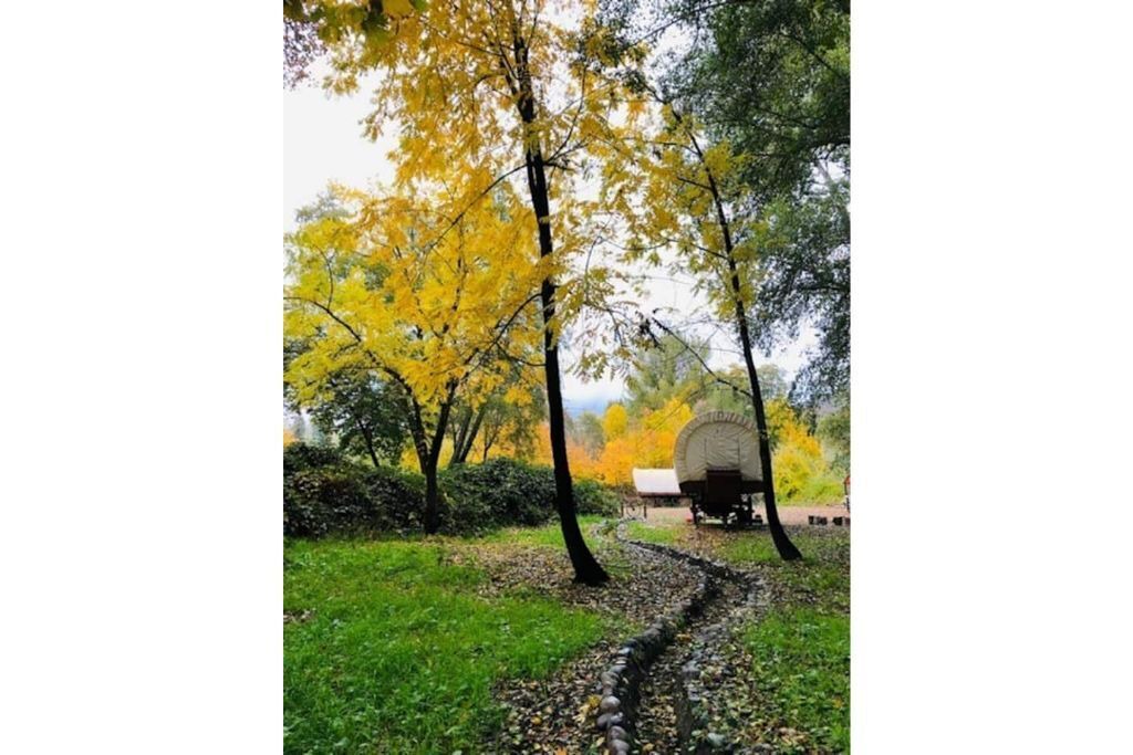 Photo of Outdoor in Murphy