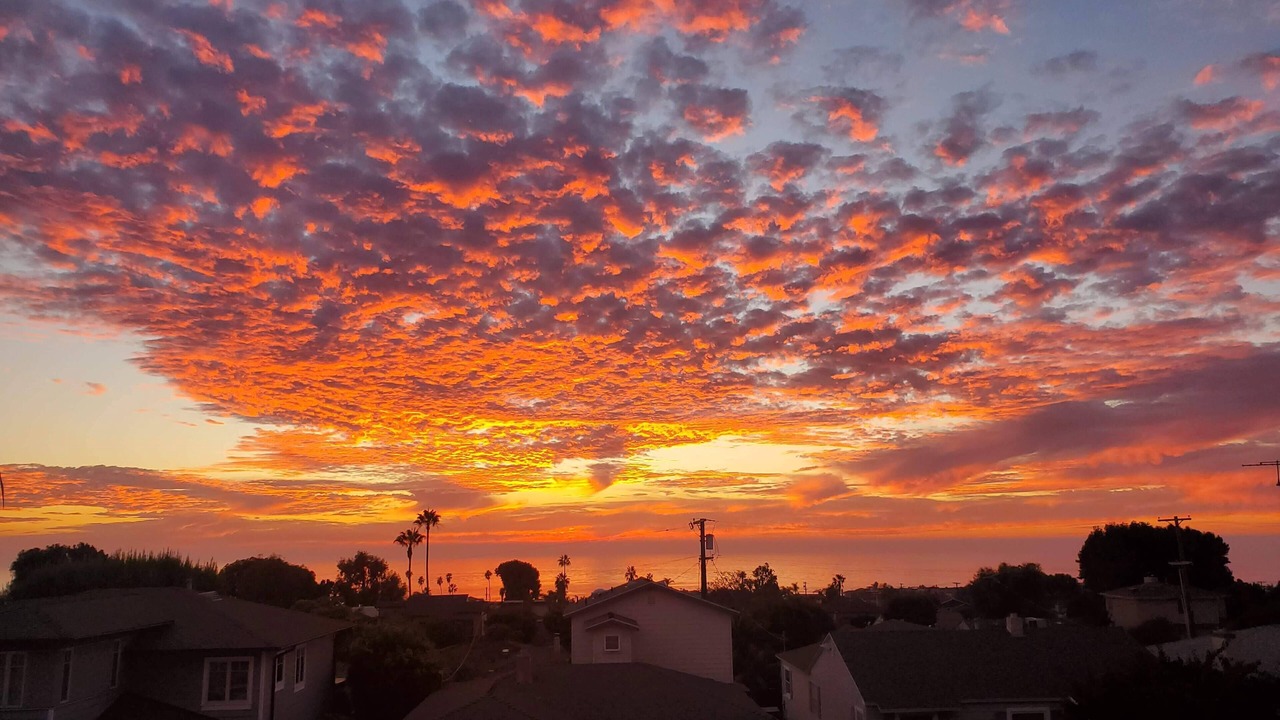 Photo of Others in La Jolla