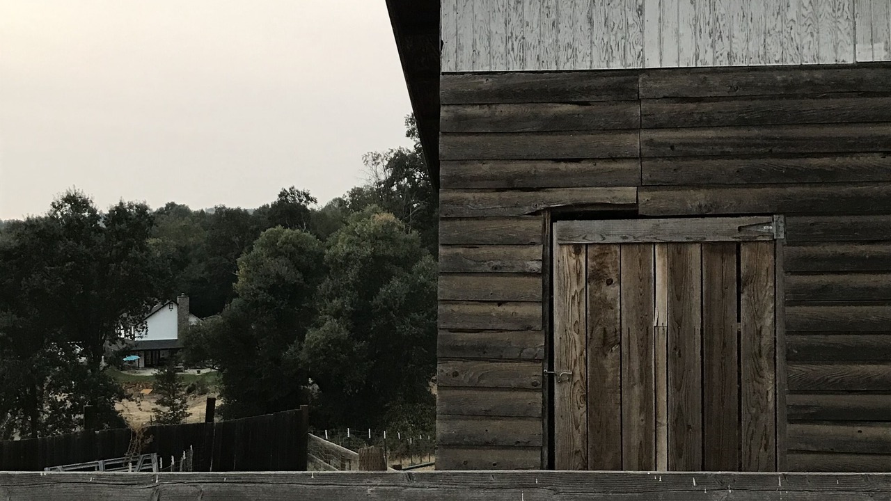 Photo of Others in Sonora