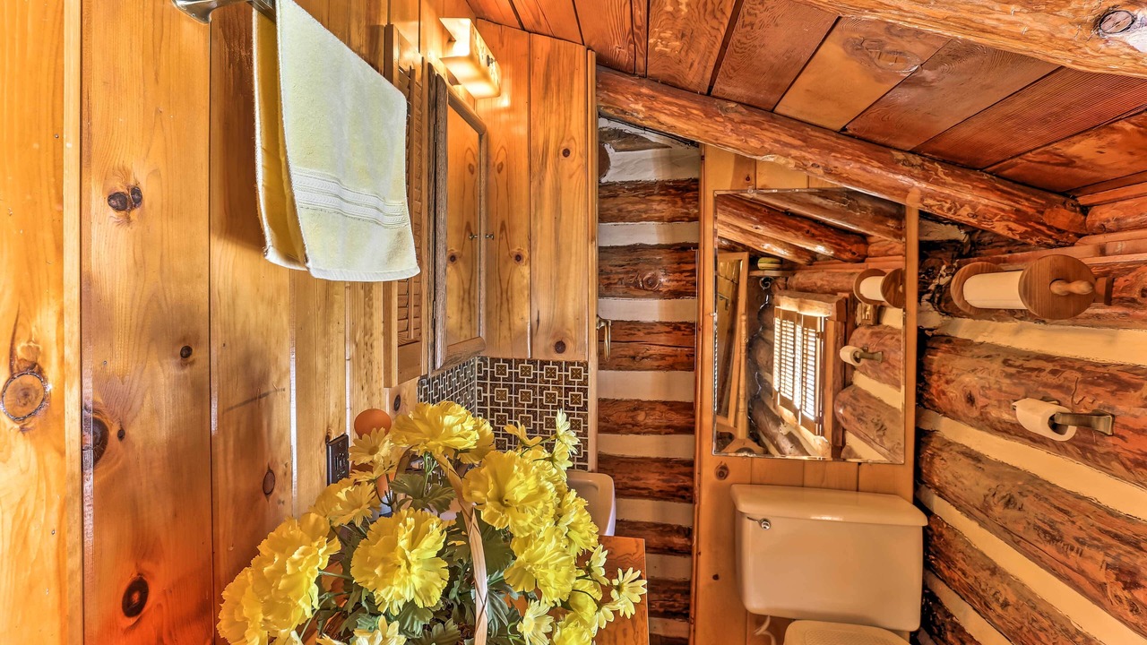 Photo of Bathroom in Lyonsville