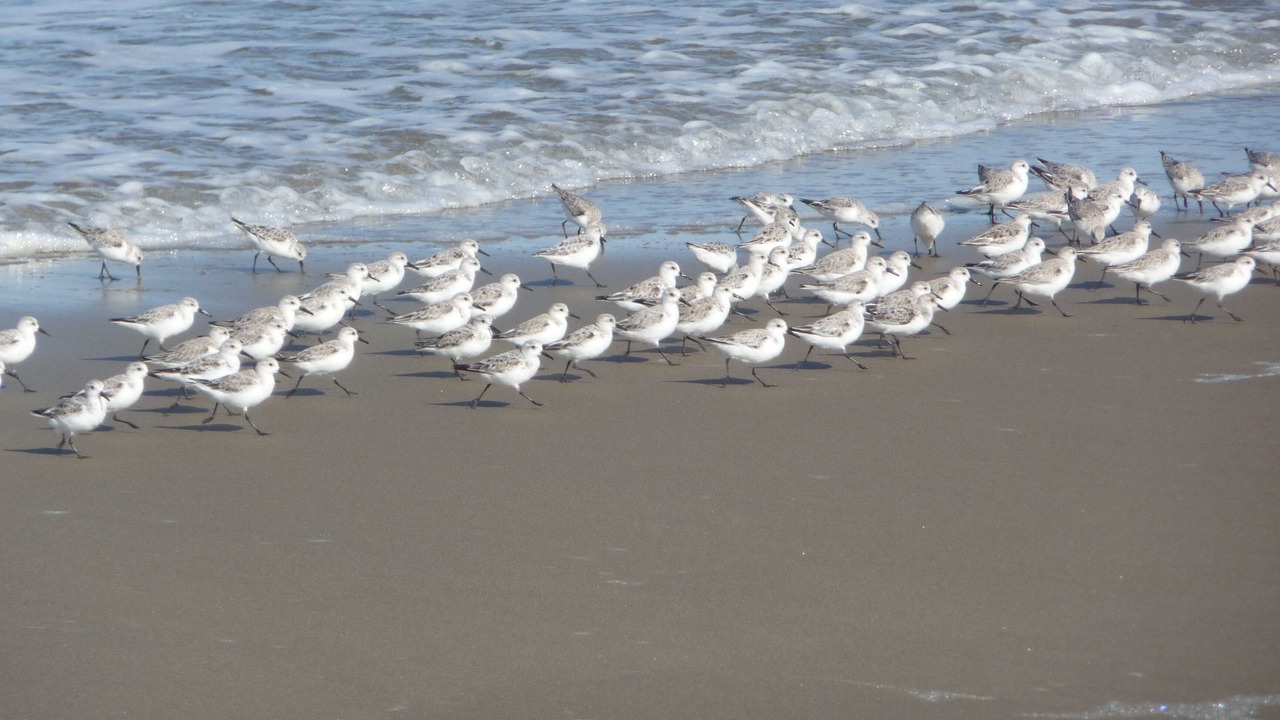 Photo of Others in Lincoln City