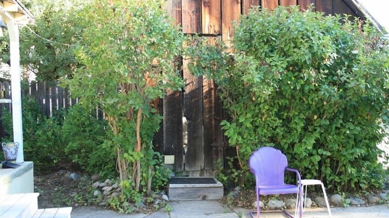 Photo of Patio Balcony in McCloud