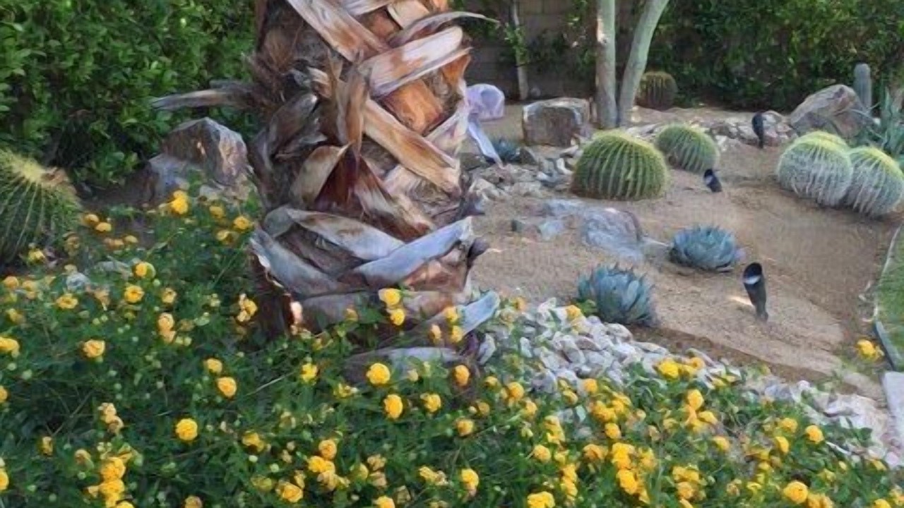 Photo of Outdoor in Rancho Mirage