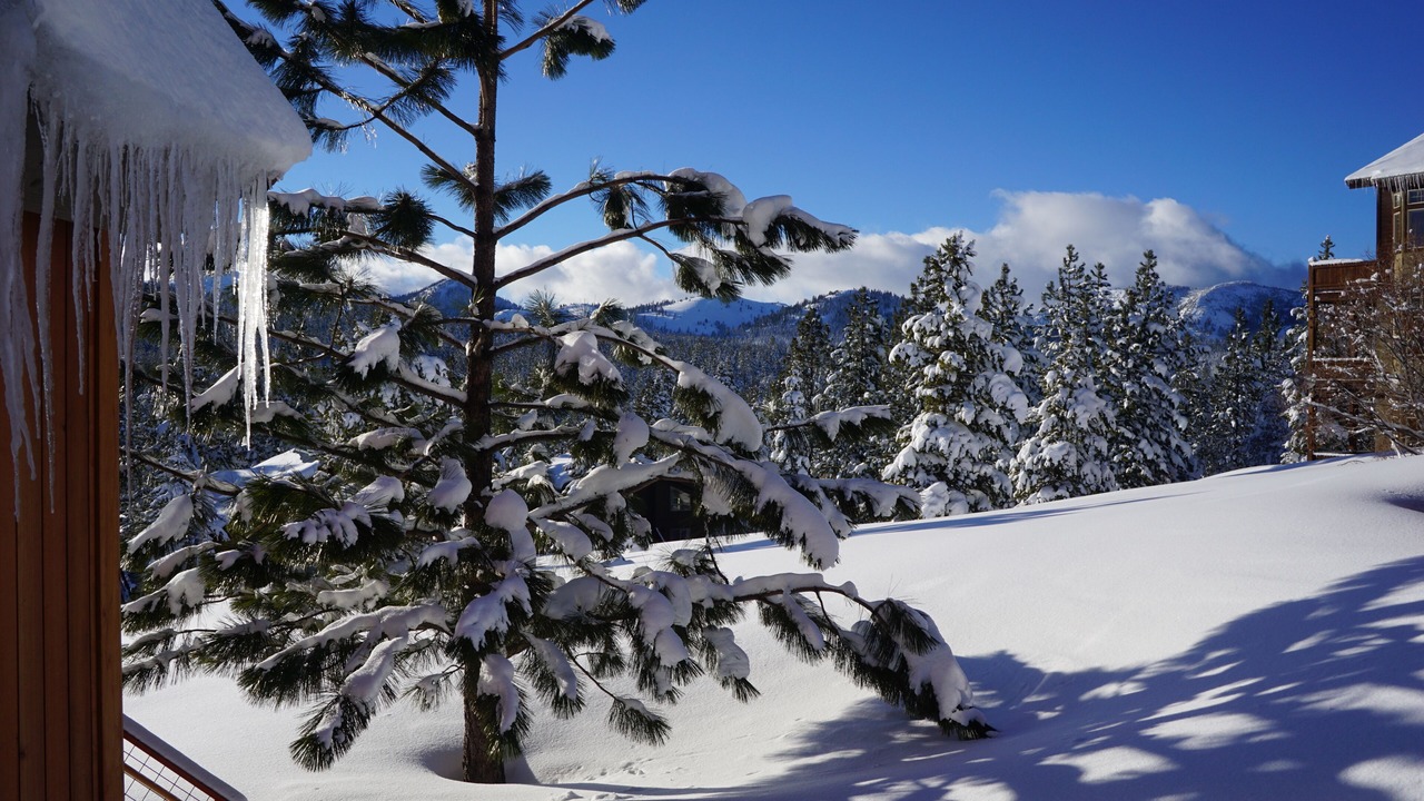 Photo of Others in Truckee
