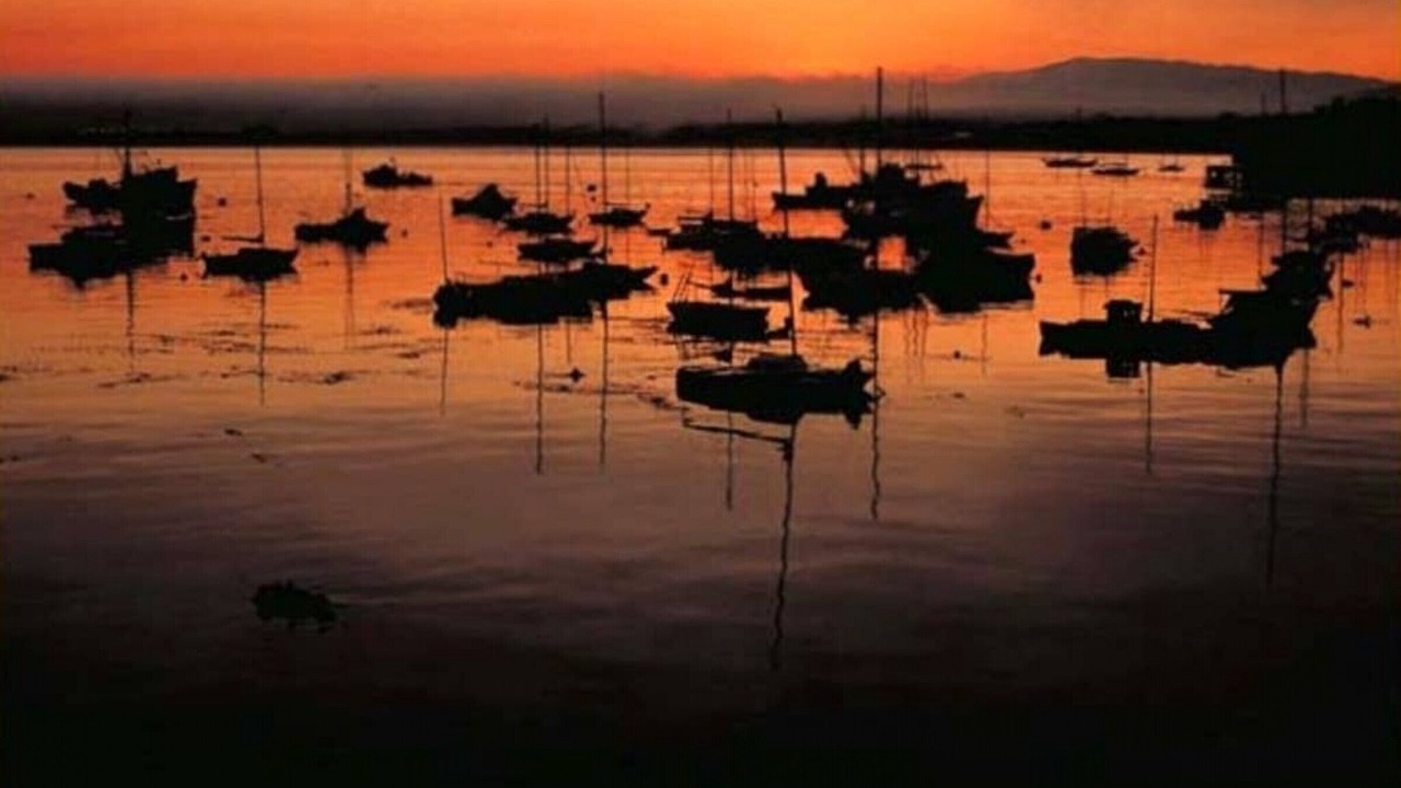 Photo of Others in Dana Point