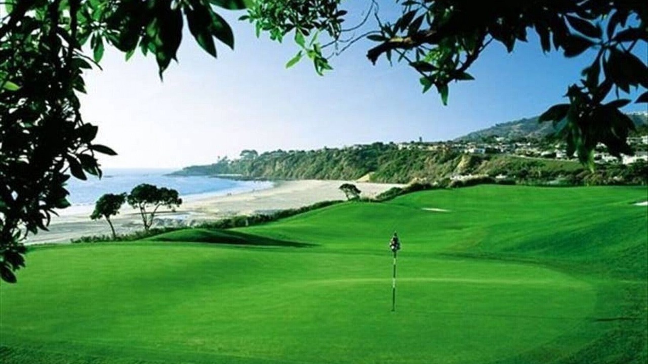 Photo of Others in Dana Point