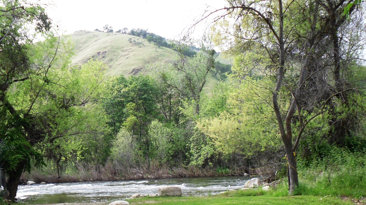 Photo of Others in Three Rivers