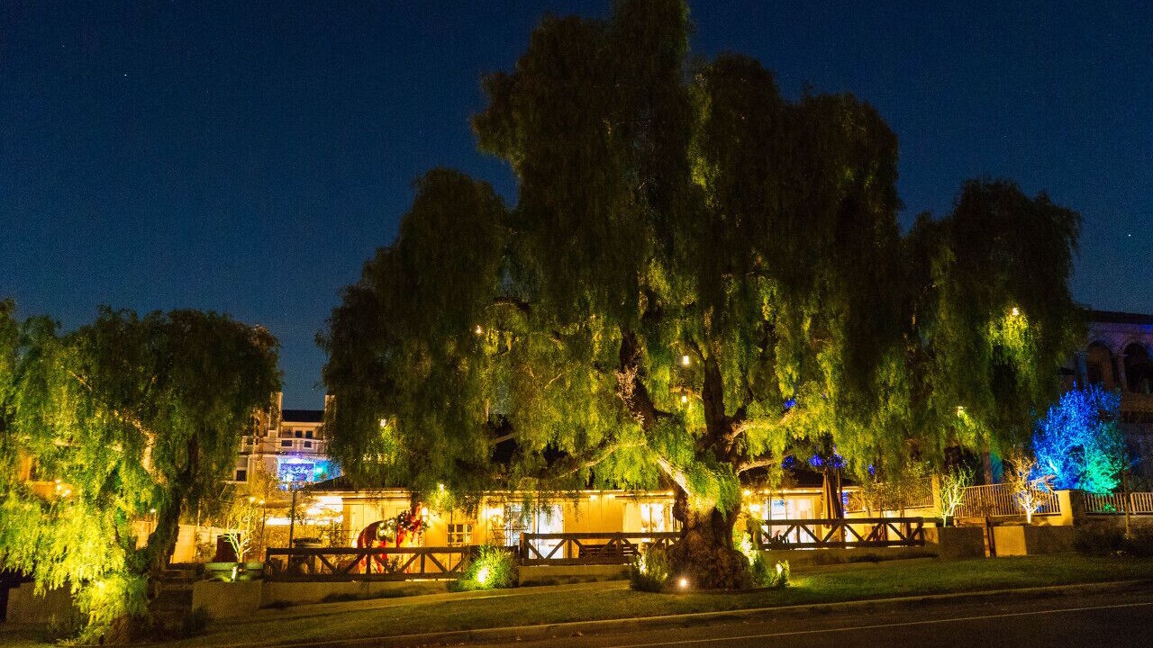 Photo of Outdoor in Dana Point