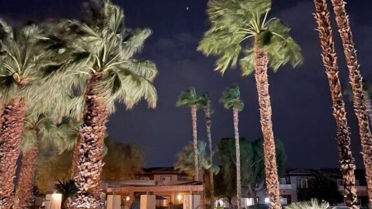 Photo of Others in Palm Springs