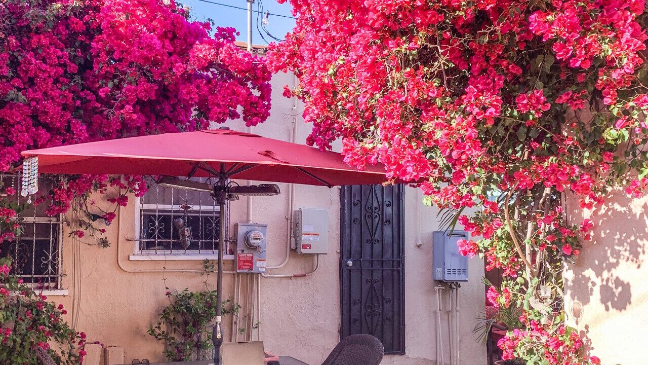 Photo of Outdoor in Los Angeles