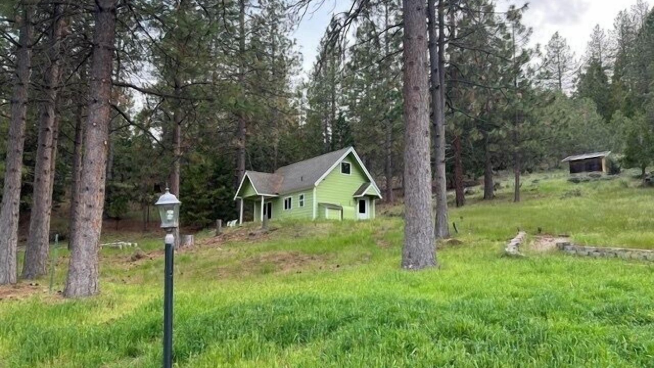 Photo of Outdoor in Weed