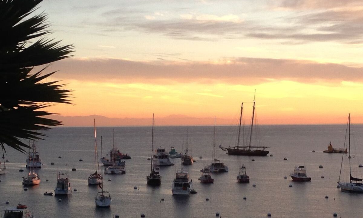 Photo of Outdoor in Avalon