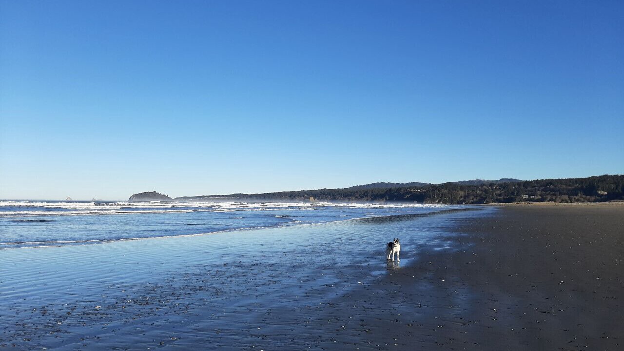 Photo of Others in Arcata