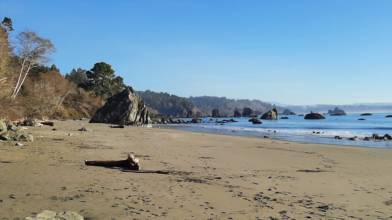 Photo of Others in Arcata